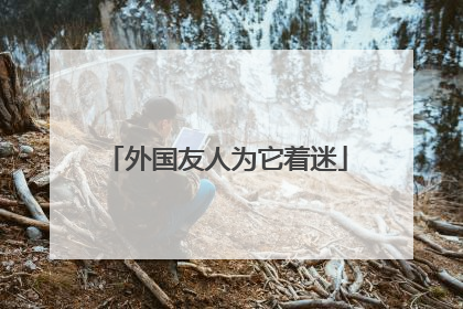 外国友人为它着迷