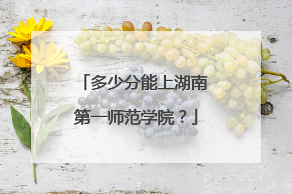 多少分能上湖南第一师范学院？