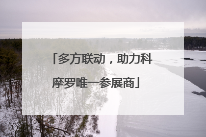 多方联动，助力科摩罗唯一参展商