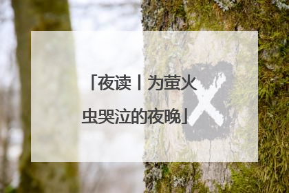 夜读丨为萤火虫哭泣的夜晚