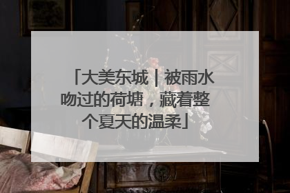 大美东城｜被雨水吻过的荷塘，藏着整个夏天的温柔