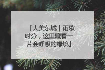 大美东城｜雨歇时分，这里藏着一片会呼吸的绿境