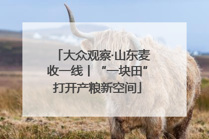 大众观察·山东麦收一线丨“一块田”打开产粮新空间