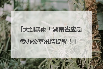 大到暴雨！湖南省应急委办公室汛情提醒！