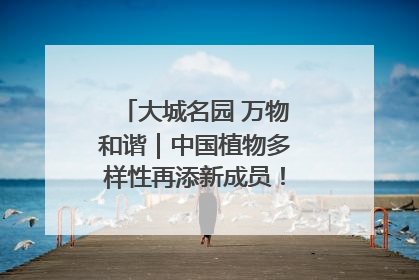 大城名园 万物和谐｜中国植物多样性再添新成员！它只在西藏墨脱