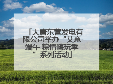 大唐东营发电有限公司举办“艾意端午 粽情嗨玩季”系列活动
