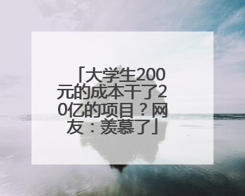 大学生200元的成本干了20亿的项目？网友：羡慕了