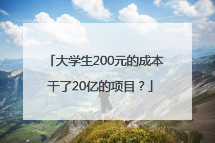 大学生200元的成本干了20亿的项目？