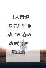 大有镇：多措并举推动“两清两改两治理”见成效