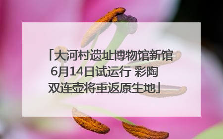 大河村遗址博物馆新馆6月14日试运行 彩陶双连壶将重返原生地