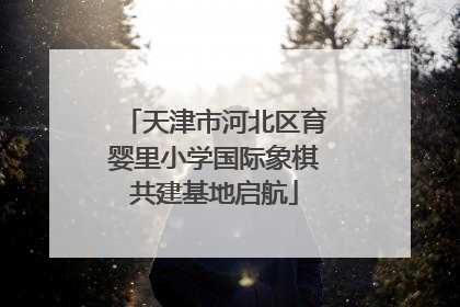 天津市河北区育婴里小学国际象棋共建基地启航
