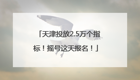 天津投放2.5万个指标！摇号这天报名！