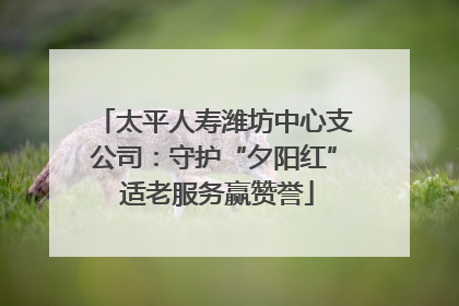 太平人寿潍坊中心支公司：守护“夕阳红” 适老服务赢赞誉