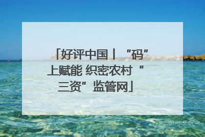 好评中国丨“码”上赋能 织密农村“三资”监管网