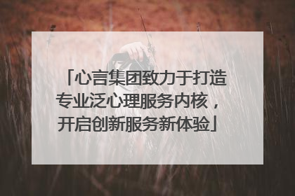 心言集团致力于打造专业泛心理服务内核，开启创新服务新体验