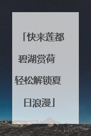 快来莲都碧湖赏荷 轻松解锁夏日浪漫