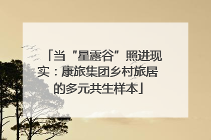 当“星露谷”照进现实：康旅集团乡村旅居的多元共生样本