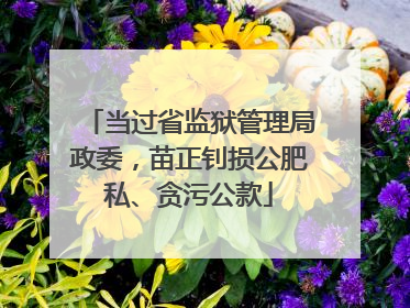 当过省监狱管理局政委，苗正钊损公肥私、贪污公款