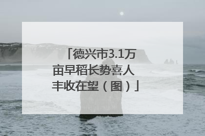 德兴市3.1万亩早稻长势喜人 丰收在望（图）