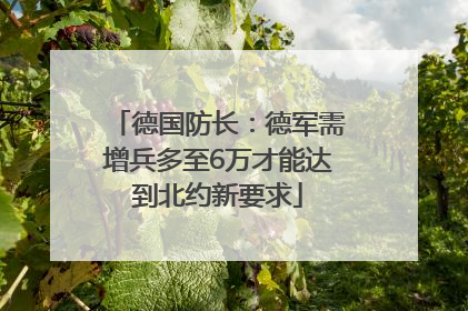 德国防长：德军需增兵多至6万才能达到北约新要求