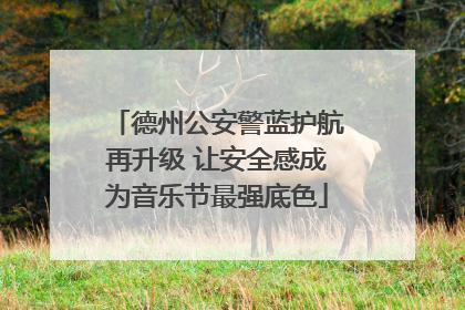 德州公安警蓝护航再升级 让安全感成为音乐节最强底色