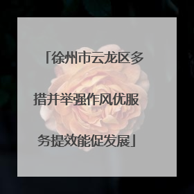 徐州市云龙区多措并举强作风优服务提效能促发展