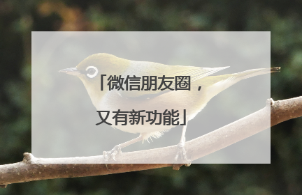 微信朋友圈，又有新功能