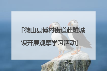 微山县傅村街道赴驩城镇开展观摩学习活动