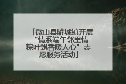 微山县驩城镇开展“情系端午邻里情 粽叶飘香暖人心”志愿服务活动