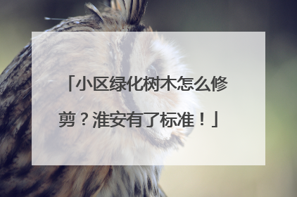 小区绿化树木怎么修剪？淮安有了标准！