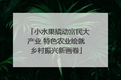 小水果撬动富民大产业 特色农业绘就乡村振兴新画卷
