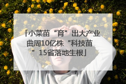 小菜苗“育”出大产业 曲周10亿株“科技苗”15省落地生根