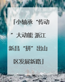 小轴承“传动”大动能 浙江新昌“拼”出山区发展新路
