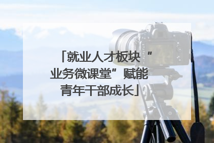 就业人才板块“业务微课堂”赋能青年干部成长