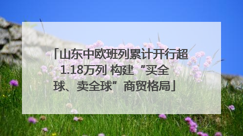 山东中欧班列累计开行超1.18万列 构建“买全球、卖全球”商贸格局