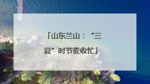 山东兰山：“三夏”时节麦收忙