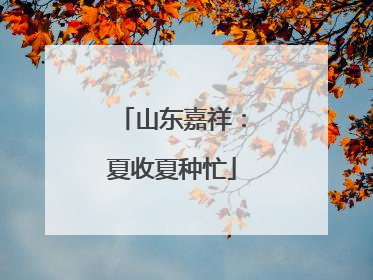 山东嘉祥：夏收夏种忙