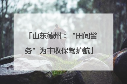 山东德州：“田间警务”为丰收保驾护航