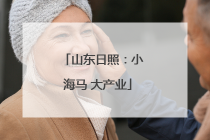 山东日照：小海马 大产业