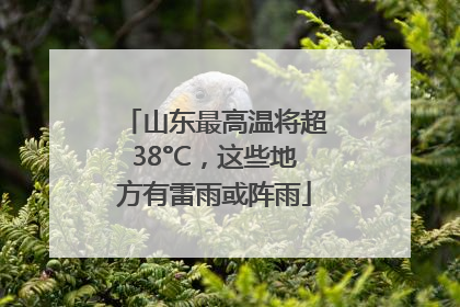 山东最高温将超38°C，这些地方有雷雨或阵雨