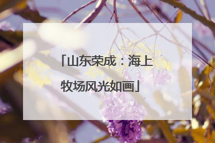 山东荣成：海上牧场风光如画