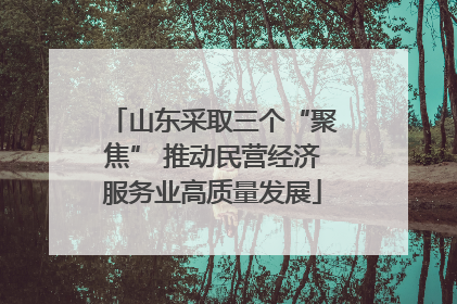 山东采取三个“聚焦” 推动民营经济服务业高质量发展