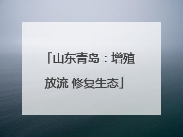 山东青岛：增殖放流 修复生态