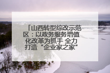 山西转型综改示范区：以政务服务增值化改革为抓手 全力打造“企业家之家”贴心服务体系