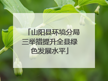 山阳县环境分局三举措提升全县绿色发展水平