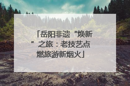 岳阳非遗“焕新”之旅：老技艺点燃旅游新烟火