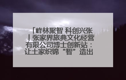峰林聚智 科创兴张丨张家界旅典文化经营有限公司博士创新站：让土家织锦“智”造出非遗新传奇