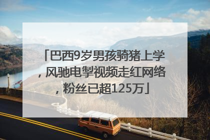 巴西9岁男孩骑猪上学，风驰电掣视频走红网络，粉丝已超125万