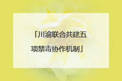 川渝联合共建五项禁毒协作机制