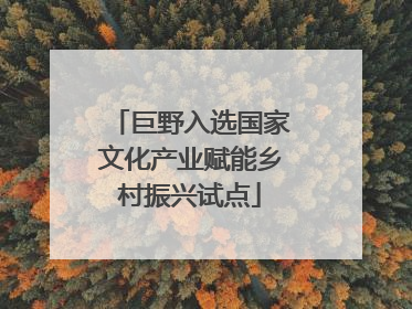 巨野入选国家文化产业赋能乡村振兴试点